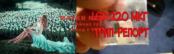 PSILOCYBIN Михайловка