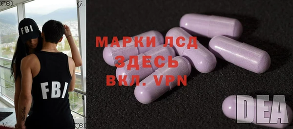 индика Михайловск