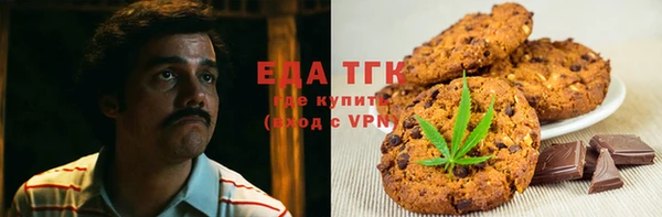 индика Михайловск
