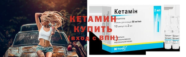 стаф Верея