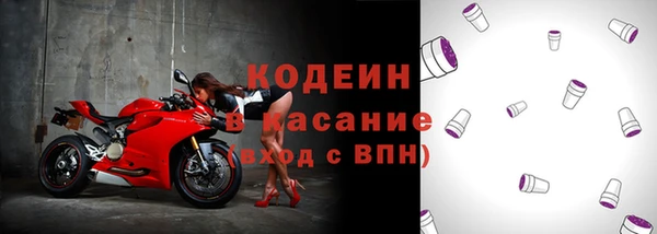 индика Михайловск