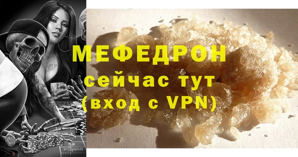 индика Михайловск