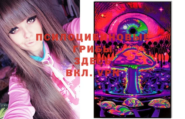 PSILOCYBIN Михайловка
