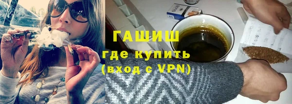 индика Михайловск