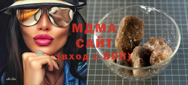индика Михайловск