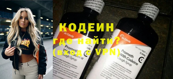 индика Михайловск