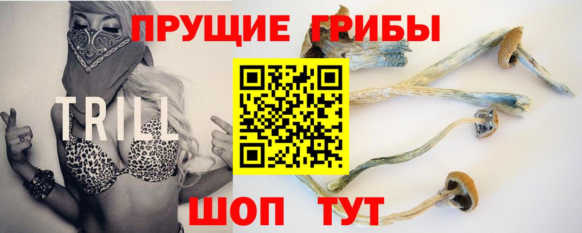 где продают наркотики  Вход с VPN  Дзержинск  Псилоцибиновые грибы мицелий 